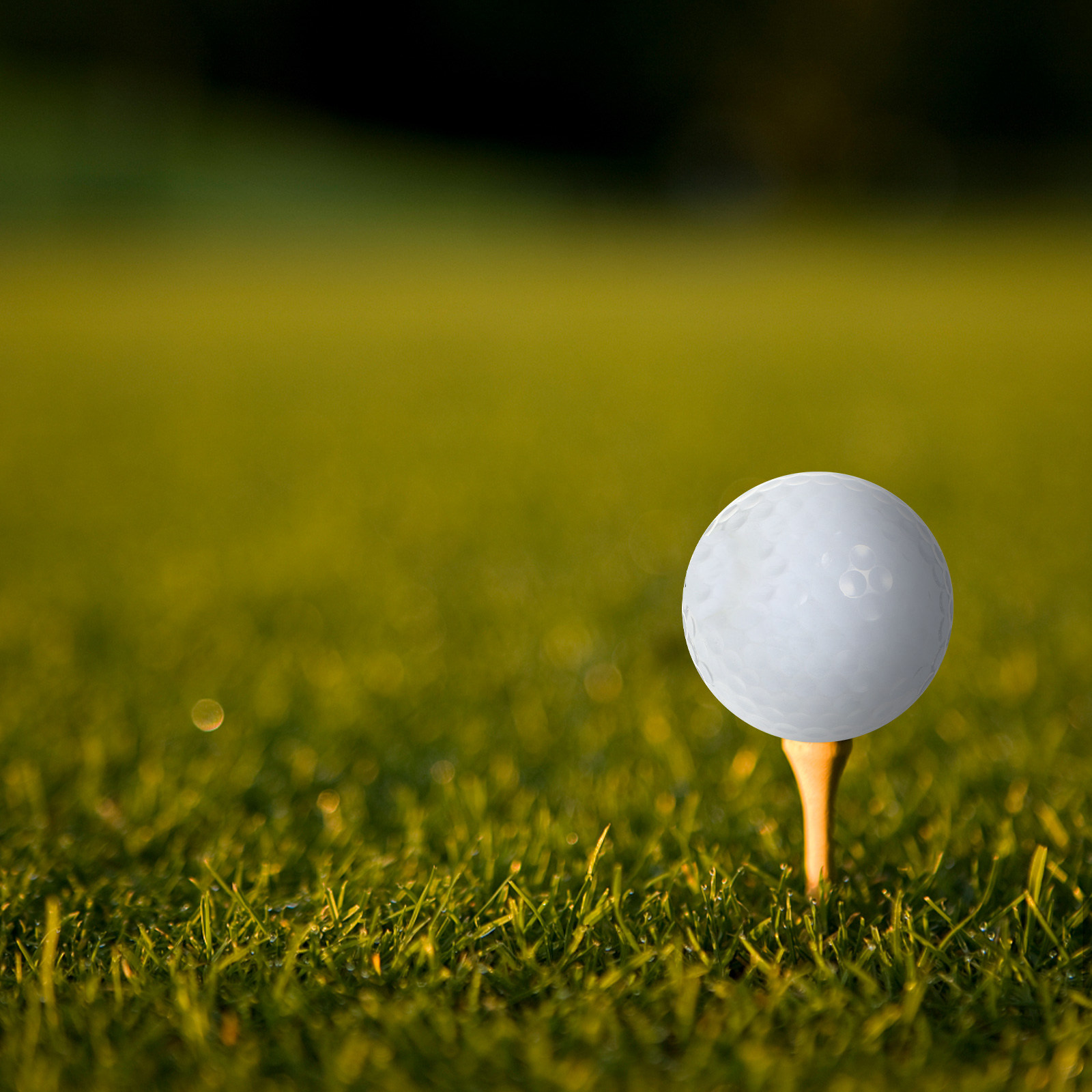 Golf Equipment For Beginners - Piłki golfowe do ćwiczeń w pomieszczeniach,